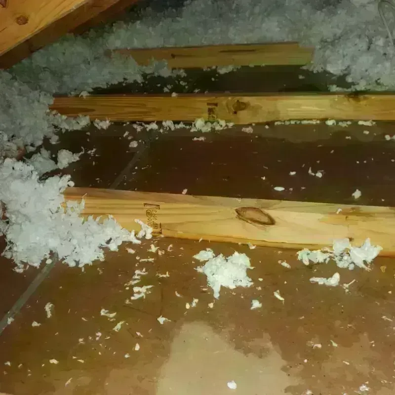 Attic Water Damage in Crowell, TX